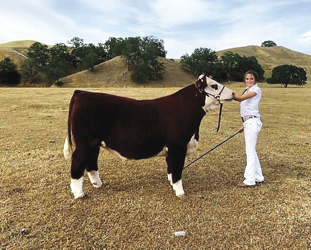Tehama District Jr. Livestock Auction a virtual hit